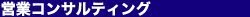 �c�ƃR���T���e�B���O